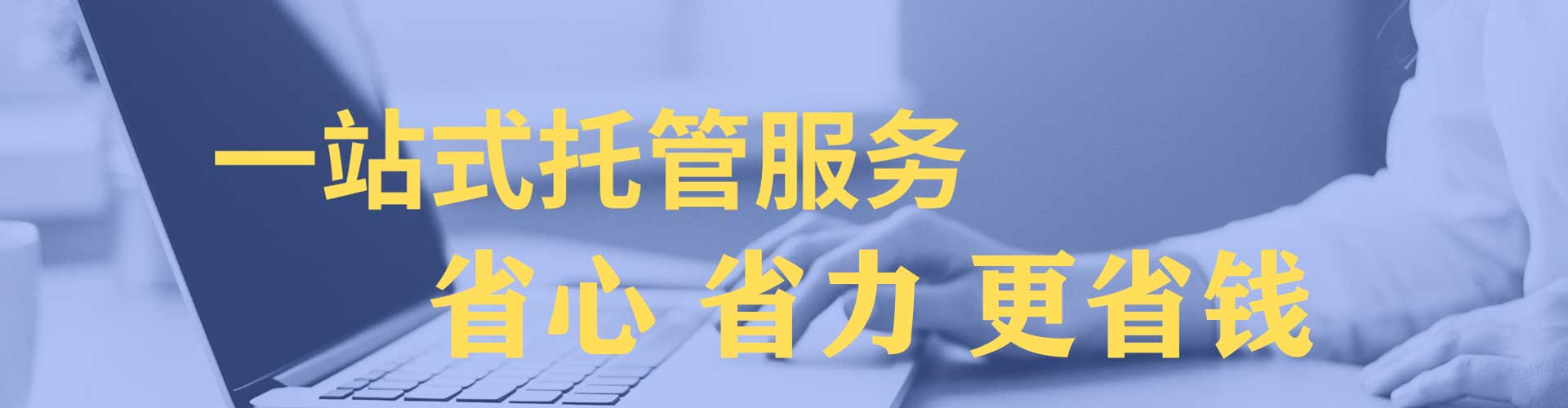 邵武竞价托管